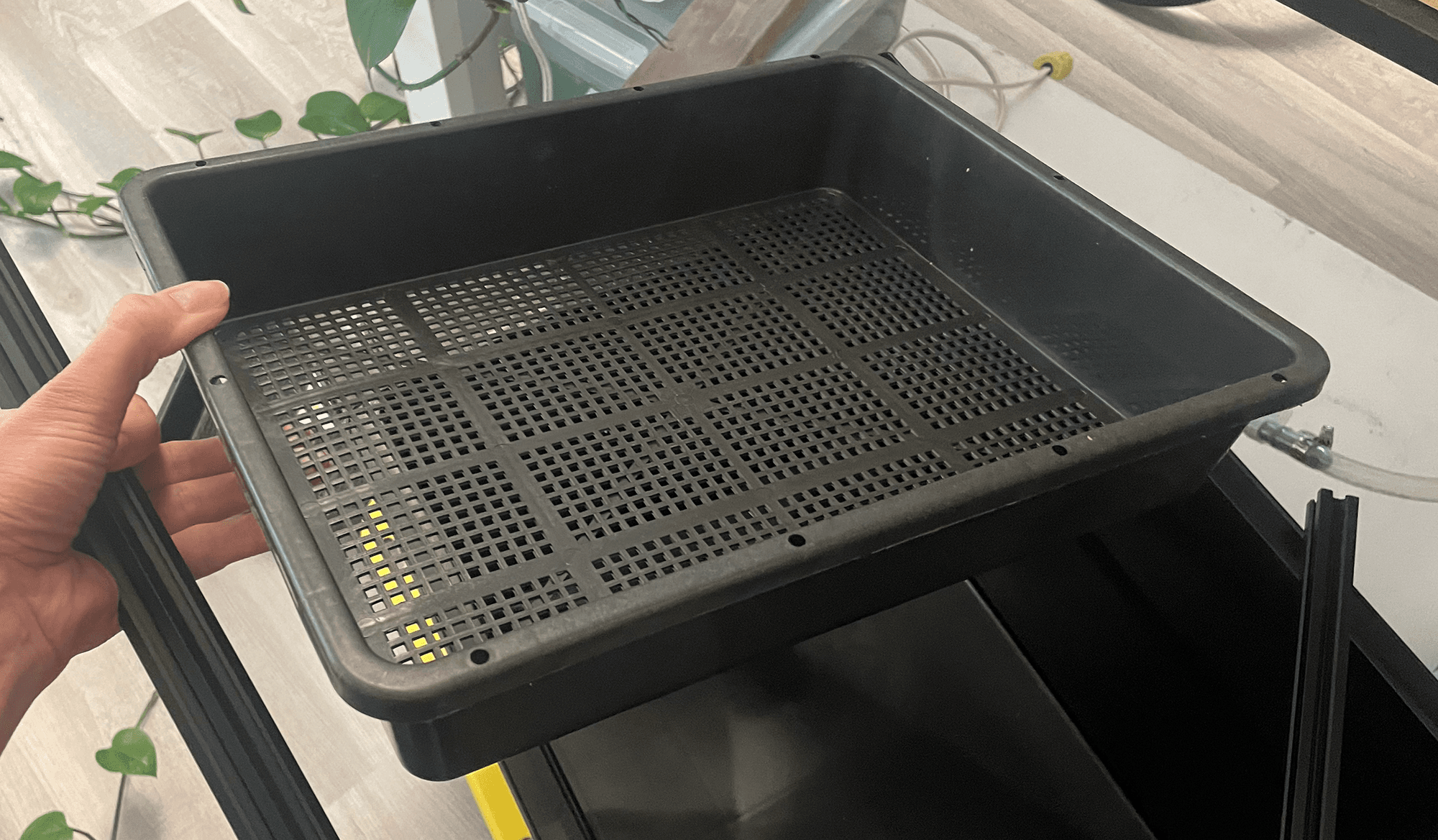 Seedling mesh bottom plant tray